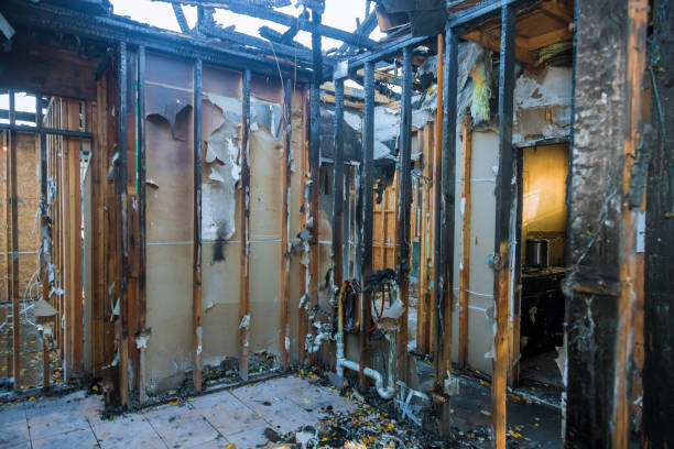 Professional Odor Removal technician working in Affton, MO